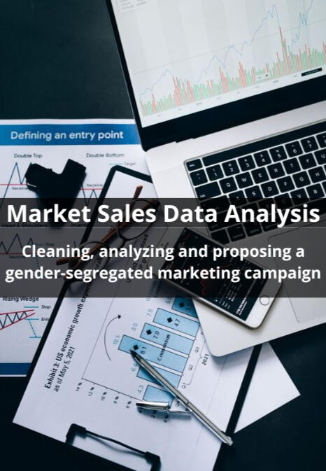 Market Sales Data Analysis